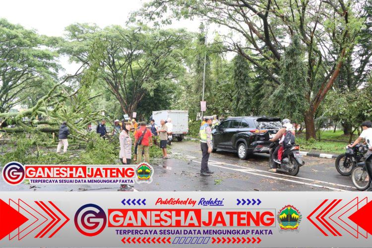 Respon Cepat Polres Salatiga Tangani Pohon Tumbang Di Sejumlah Titik, Kapolres Salatiga Pimpin Langsung Evakuas