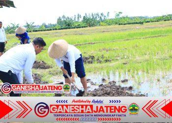 Beri Contoh Teladan, Kalapas Banyuwangi Terjun Langsung Dalam Pembajakan Sawah di Lahan SAE