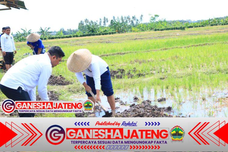 Beri Contoh Teladan, Kalapas Banyuwangi Terjun Langsung Dalam Pembajakan Sawah di Lahan SAE Beri Contoh Teladan, Kalapas Banyuwangi Terjun Langsung Dalam Pembajakan Sawah di Lahan SAE