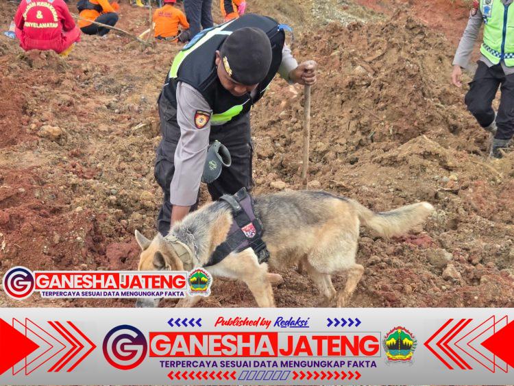 Polri Kerahkan Anjing Pelacak dalam Pencarian Korban Longsor Cilacap Polri Kerahkan Anjing Pelacak dalam Pencarian Korban Longsor Cilacap