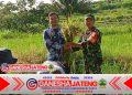 Pantau Potensi Hasil Panen Petani Ngampon, Babinsa Ampel Dampingi Pengubinan Padi