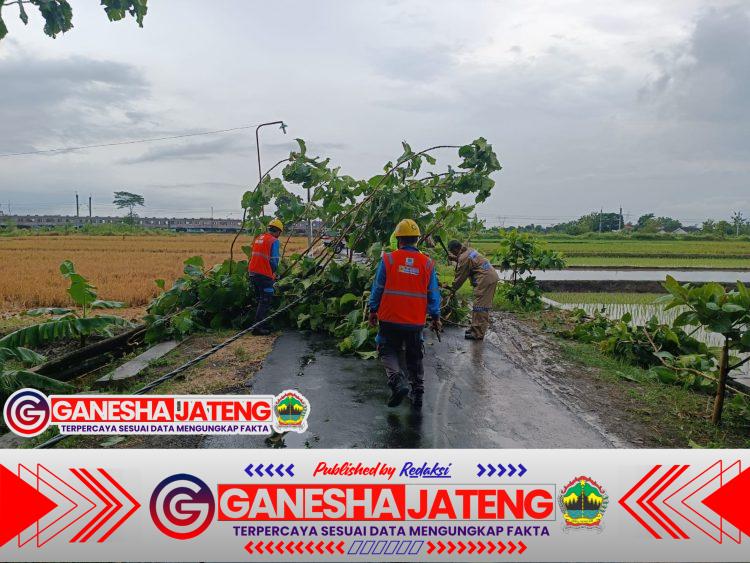 Polsek Delanggu Evakuasi Pohon Tumbang Pasca Hujan Angin, Akses Warga Kembali Lancar Polsek Delanggu Evakuasi Pohon Tumbang Pasca Hujan Angin, Akses Warga Kembali Lancar